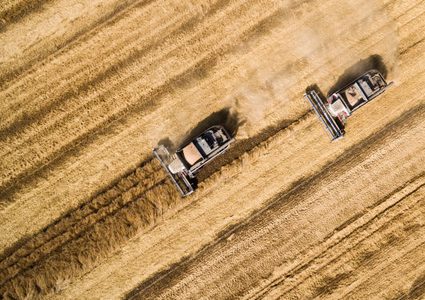 روسيا تخطط لفرض رسوم على صادرات القمح