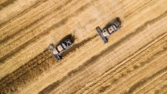 روسيا تخطط لفرض رسوم على صادرات القمح