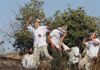 مستوطنون يهاجمون "خان اللبن" جنوب نابلس