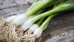 6 فوائد مذهلة لتناول البصل الأخضر
