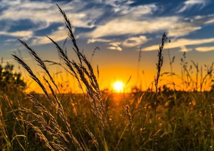 الطقس: ارتفاع على درجات الحرارة