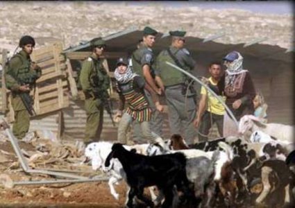 إصابة مواطن في اعتداء للمستوطنين بالأغوار الشمالية