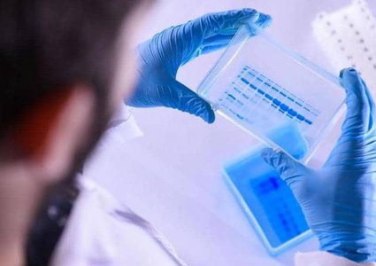 لماذا لا تثير سلالة كورونا الجديدة القلق؟