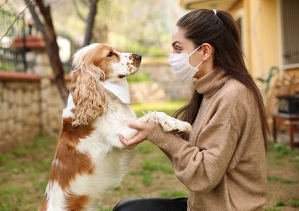 هل تشكل فيروسات كورونا لدى الحيوانات خطرا على صحة الإنسان؟