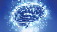 ما هي أفضل طريقة للحفاظ على الصحة العقلية؟