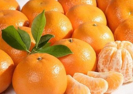 ما هي خطورة الإفراط في تناول اليوسفي؟