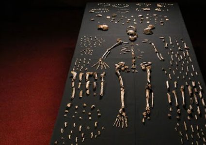 علماء: البشر القدامى دخلوا أيضا في مرحلة السبات خلال الشتاء