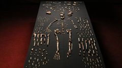 علماء: البشر القدامى دخلوا أيضا في مرحلة السبات خلال الشتاء