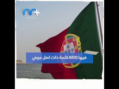 لغات عالمية فيها أصل عربي