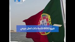 لغات عالمية فيها أصل عربي