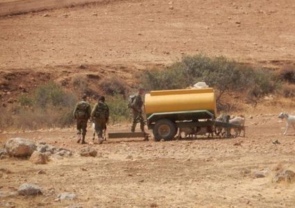 فتح سهل القاعون في الاغوار الشمالية غداً أمام المزارعين