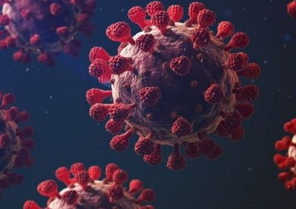 عالميا : نحو مليون و772 ألف وفاة وأكثر من 81 مليون إصابة بكورونا