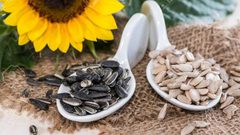 ما هي فوائد لب بذور عباد الشمس ؟