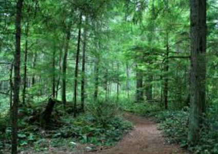 رومانيا.. بلدة صغيرة تشهد ظاهرة أسطورية غير عادية