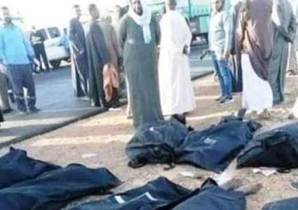 مصرع 12 مصريا في حادث تصادم بين سيارتين على طريق أسوان