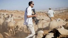 مستوطنون يعتدون على رعاة أغنام جنوب الخليل