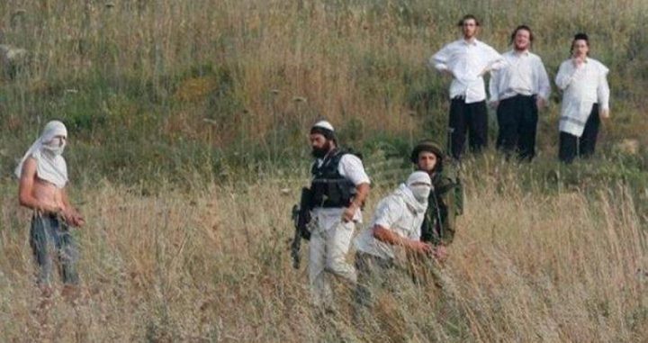 مستوطنون يعتدون على المزارعين في مسافر يطا