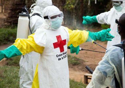 عالم يحذر من ظهور أمراض قاتلة بسبب قطع الاشجار!