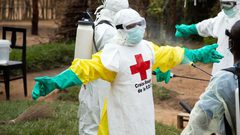 عالم يحذر من ظهور أمراض قاتلة بسبب قطع الاشجار!