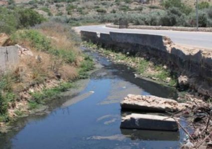 مستوطنون يضخون المياه العادمة في أراضي المواطنين بقرية حوسان