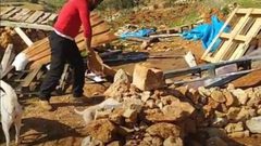 بيت لحم: قوات الاحتلال تهدم بيتا زراعيا في الخضر وتصادر محتوياته