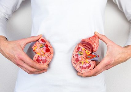 3 أخطاء نرتكبها جميعاً تُلحق الضرر بصحة الكلى