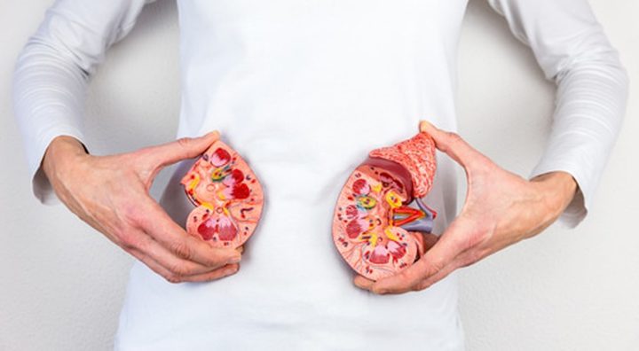 3 أخطاء نرتكبها جميعاً تُلحق الضرر بصحة الكلى