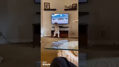 كلب يتابع سباق خيول يخطف إعجاب وسائل التواصل