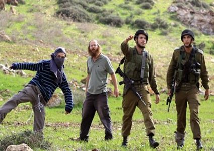 اصابة مواطن في هجوم للمستوطنين غرب نابلس