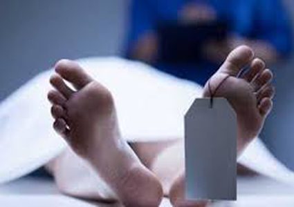 دبي.. حشرة تكشف لغز جريمة قتل !