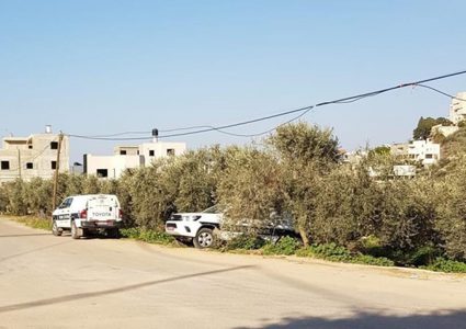 النقب: اعتقال جد وجدة بشبهة التسبب بوفاة حفيدتهما