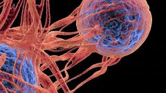 هل تحمي مادة الكلوروفيل من داء السرطان؟