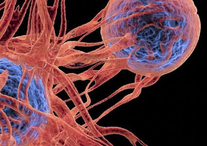 هل تحمي مادة الكلوروفيل من داء السرطان؟