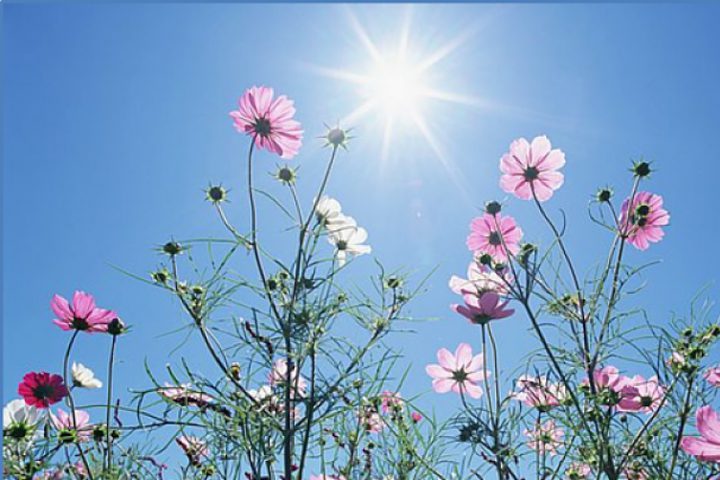 الطقس: ارتفاع طفيف آخر على درجات الحرارة