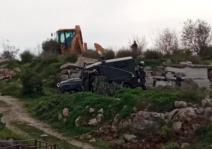 الاحتلال يجرف 8 دونمات ويقتلع 80 شجرة زيتون ولوزيات شمال الخليل