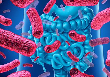 دراسة: بكتيريا الأمعاء يمكن أن توقف تفشي كورونا