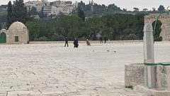 الاحتلال يأخذ قياسات وينفذ أعمال مسح في المسجد الأقصى وقبة الصخرة