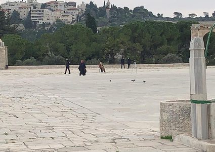 الاحتلال يأخذ قياسات وينفذ أعمال مسح في المسجد الأقصى وقبة الصخرة
