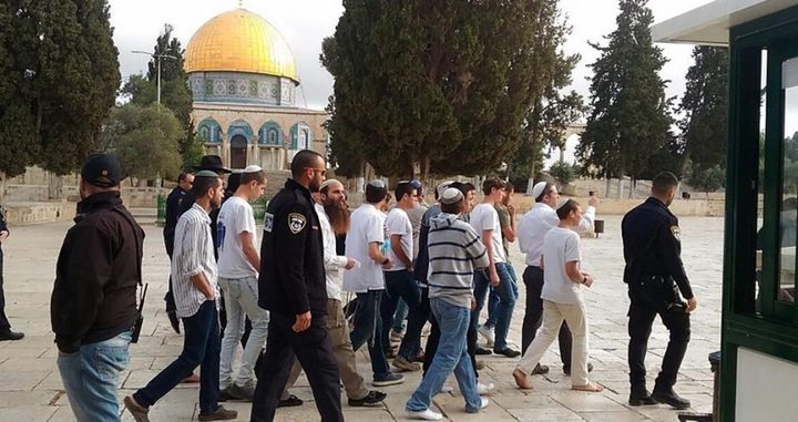 مستوطنون يقتحمون الأقصى ويؤدون طقوسا تلمودية