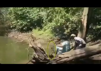 شاهد هندي ينجو بأعجوبة من لدغة كوبرا قاتله