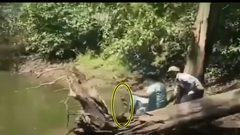 شاهد هندي ينجو بأعجوبة من لدغة كوبرا قاتله