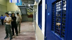 هيئة الأسرى: 280 اصابة بكورونا في صفوف الأسرى داخل السجون