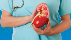 3 قواعد ذهبية للحفاظ على صحة الكلى