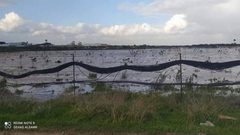 الاحتلال يُغرق مئات الدونمات الزراعية شرق غزة