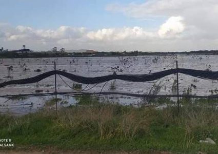 الاحتلال يُغرق مئات الدونمات الزراعية شرق غزة