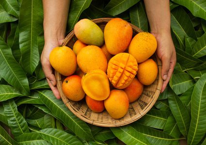 باحثون: فاكهة المانجو تخفض نسبة السكر في الدم