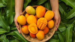 باحثون: فاكهة المانجو تخفض نسبة السكر في الدم