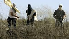 مستوطنون يعتدون على رعاة أغنام شرق بيت لحم