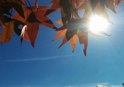 الطقس: ارتفاع على درجات الحرارة مع بقاء الأجواء باردة