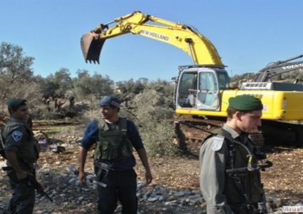 طوباس: الاحتلال يقتلع آلاف الأشجار في منطقة عينون